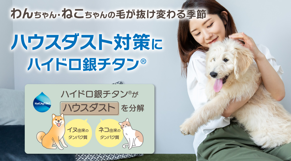 ローテーションバナー_top_250512.jpg